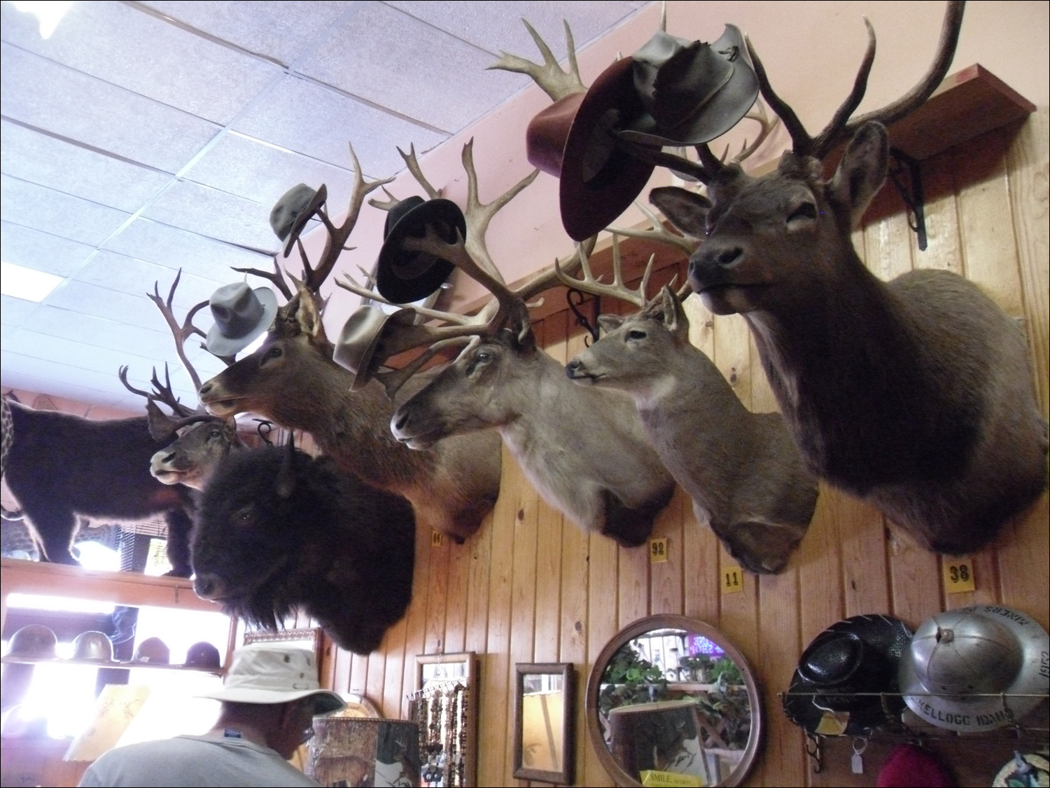 Wallace, ID-an "antique" shop Idaho-style